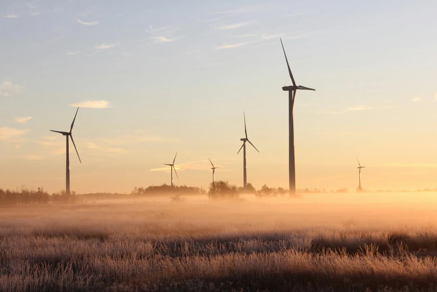 Renewable Energy